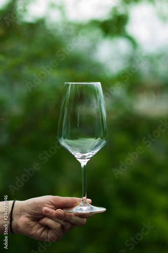  empty wine glass on a background of green trees