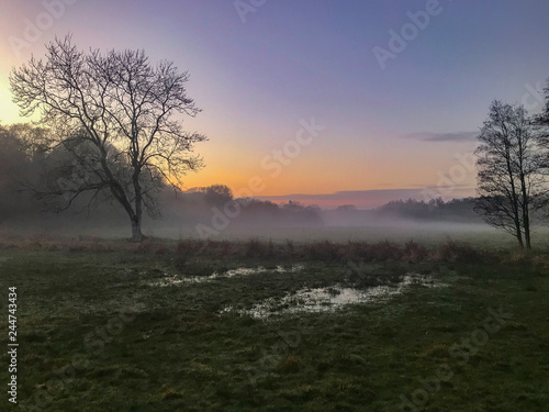 Sunset water meadow misty