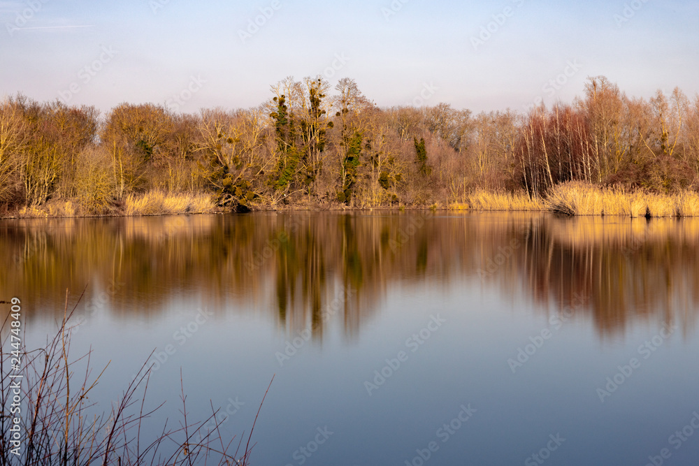 lake in winter lake in winter