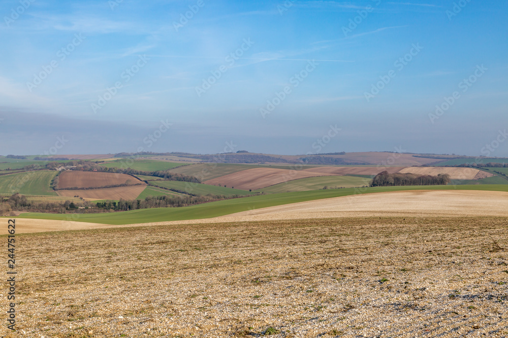 An Idyllic South Downs Landscape in Sussex