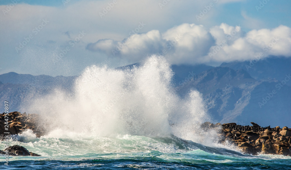 Fototapeta premium Big waves break on the rocks in the sea against the backdrop of the coastline. Beautiful seascape. A beautiful moment. Very dynamic photo. Cape Town. False Bay. South Africa.