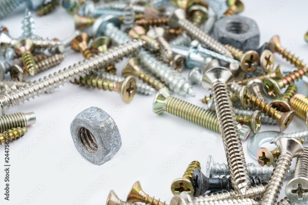 Screw Screw