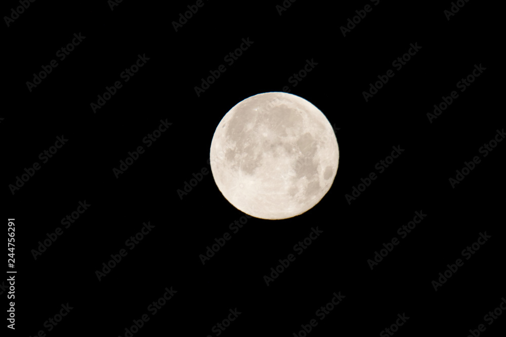 Obraz premium The moon will pass through Earth's shadow 01-23-2019 in the only total lunar eclipse. The Moon is an astronomical body that orbits planet Earth and is Earth's only permanent natural satellite.