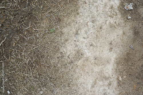 Top view of ground with dead grass and old Cement floor. Background/texture.