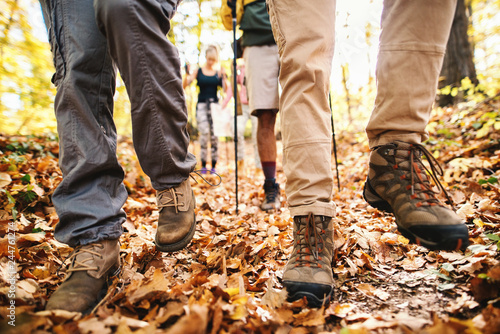 Close up of hikers' legs walking through woods. Autumn time.