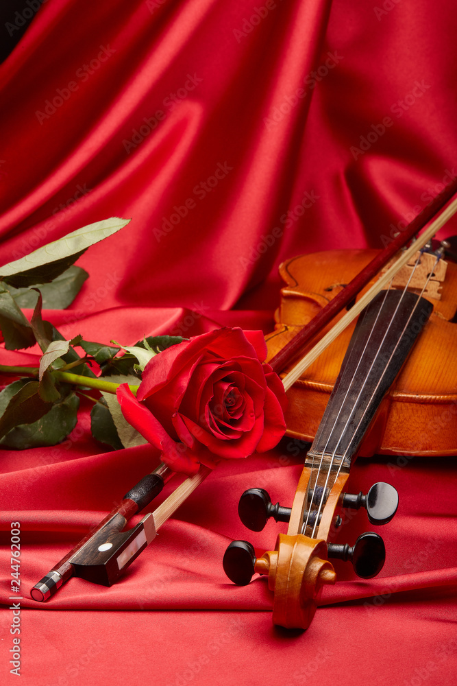 Fototapeta premium Violin and red rose.