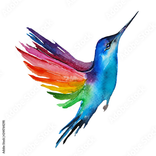 Watercolor blue bird with colorful wings. Multicoloring hummingbird isolated ...