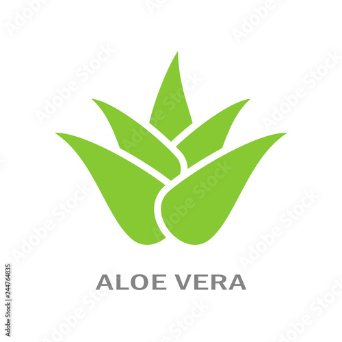 Aloe vera vector icon