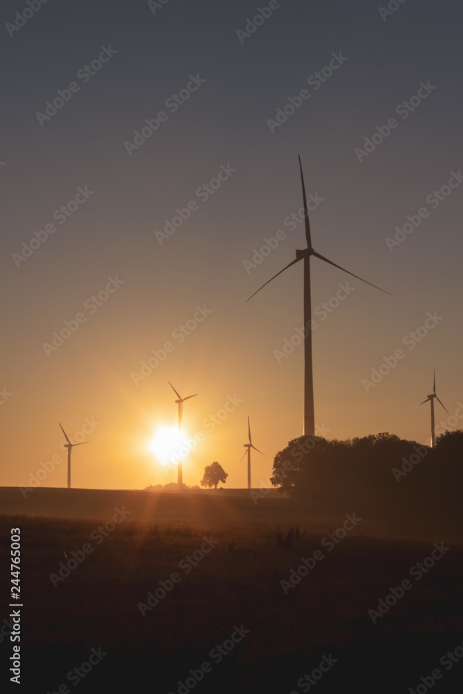 Obraz premium windmill at sunrise