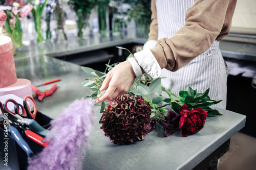 Fotografia Competent florist using fresh flowers for ikebana