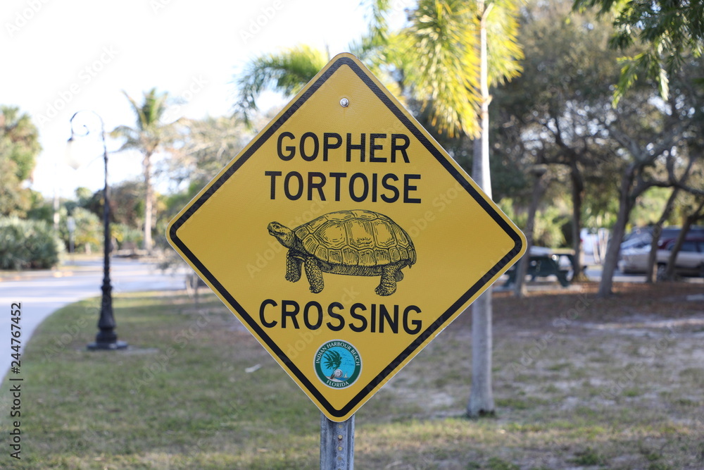 Gopher Turtle Crossing Sign