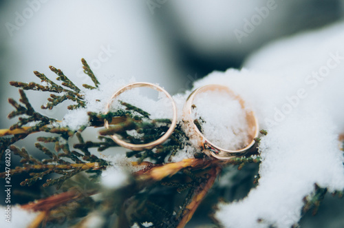 Wedding rings on branch in snow