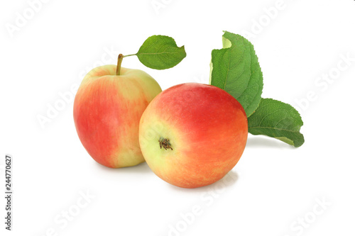 Two apples with leaves isolated on white