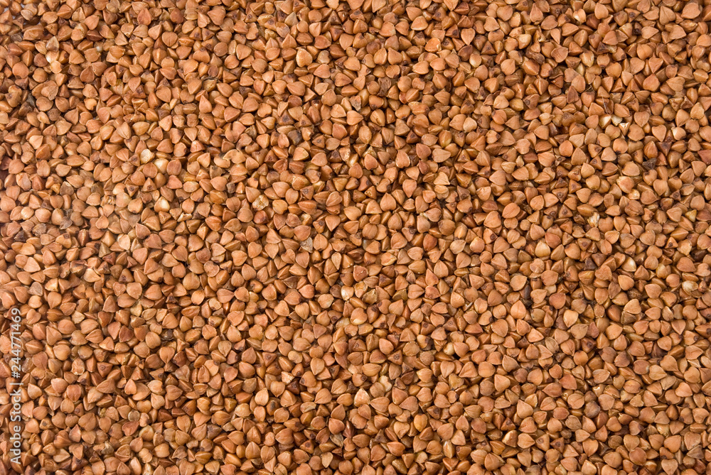 image of buckwheat close up image of buckwheat close up