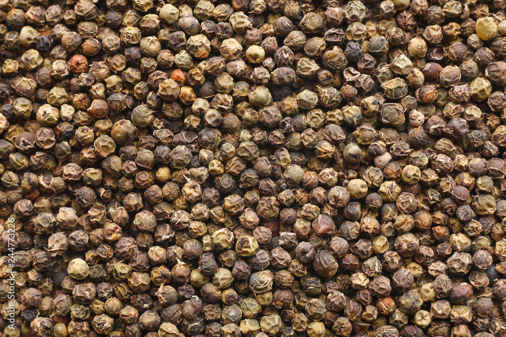 Organic spices concept Organic spices concept