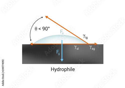 Vector physics scientific icon or illustration of surface tension. Hydrophilic good wetting the solid surface with liquid. Contact angle <90°. Illustration is isolated on a white background. photo