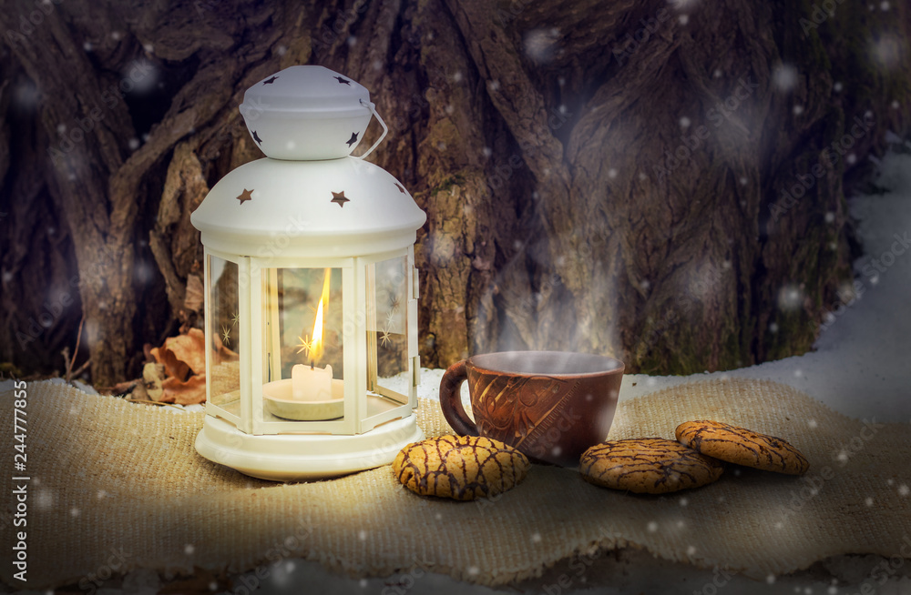 custom made wallpaper toronto digitalA cup of hot coffee and cookies near a lantern with a candle in the woods at night during snowfall. Food while traveling in the woods_