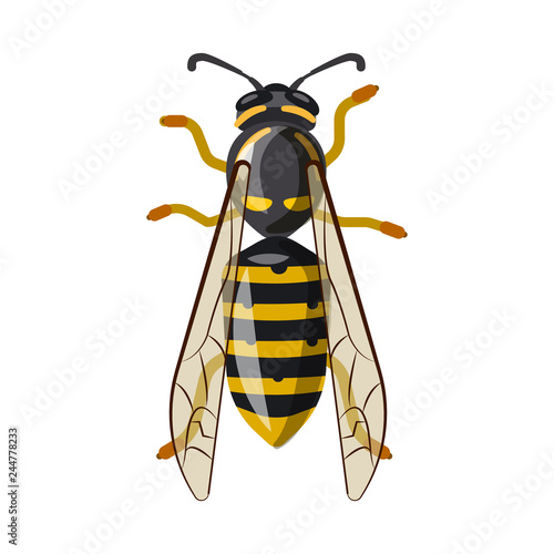 Isolated object of insect and fly logo. Collection of insect and element vector icon for stock.