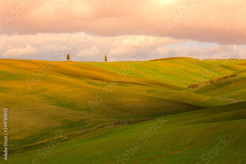 Fototapeta Naklejka Na Ścianę i Meble -  Evening landscape with Tuscany hills