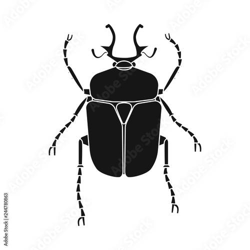 Vector design of insect and fly sign. Set of insect and element stock vector illustration.