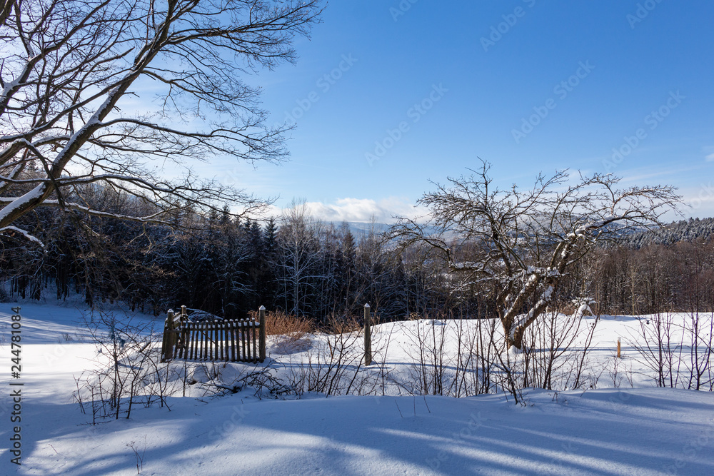 Christmas and New Year background with winter trees in mountains covered with fresh snow - Magic holiday background Christmas and New Year background with winter trees in mountains covered with fresh snow - Magic holiday background