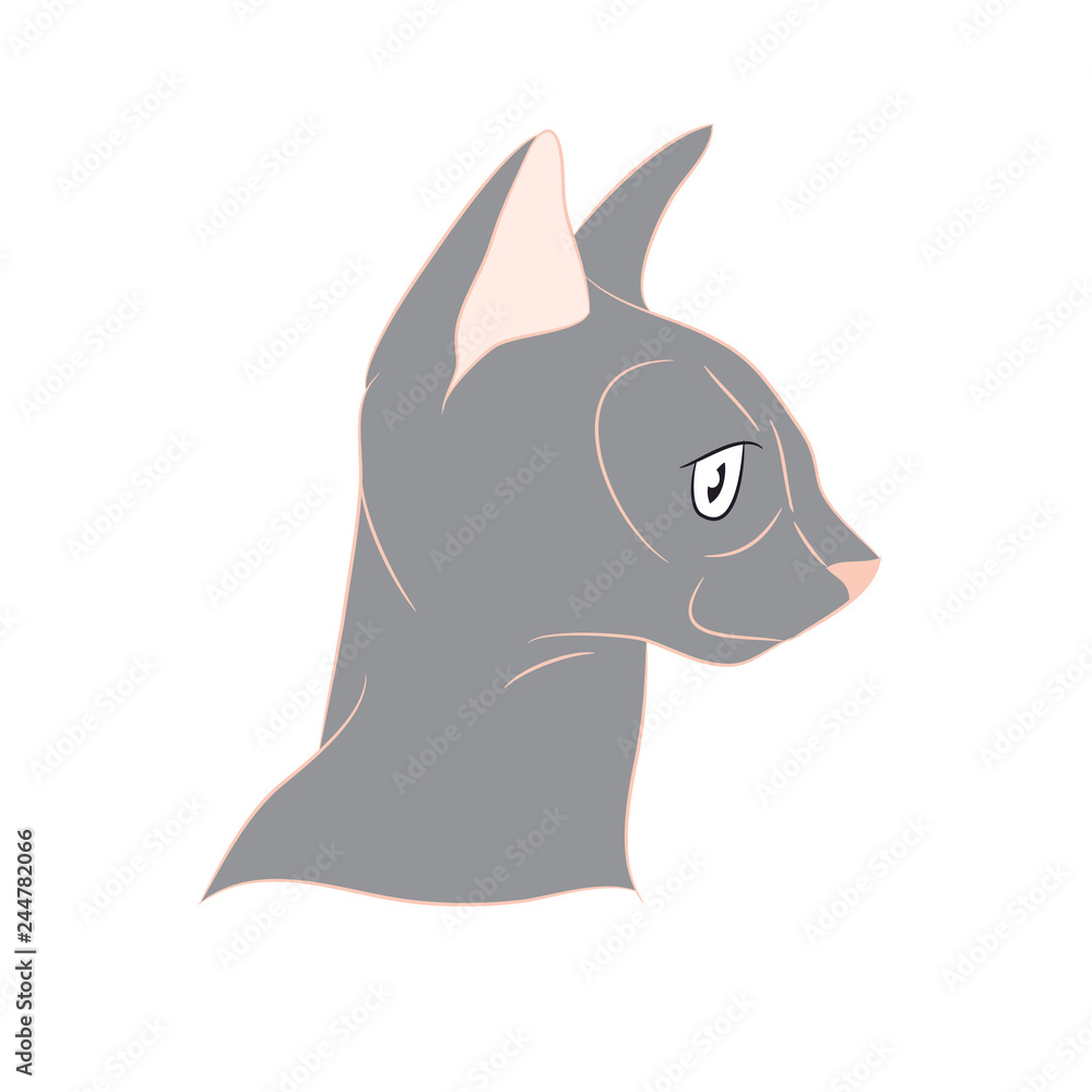 Fototapeta premium cat portrait, vector, white background