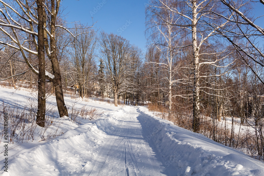 Winter road stretches into the distance and the snow-covered forest Winter road stretches into the distance and the snow-covered forest