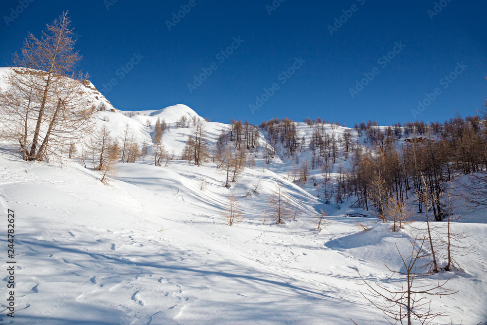 Panoramic view of the sunny snow-covered landscape of the Alpe Sangiatto above the Alpe Devero in Piedmont, Italy.