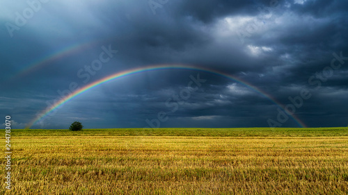 rainbow over the horizon