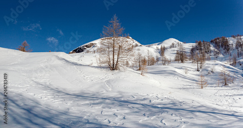 Panoramic view of the sunny snow-covered landscape of the Alpe Sangiatto above the Alpe Devero in Piedmont, Italy.