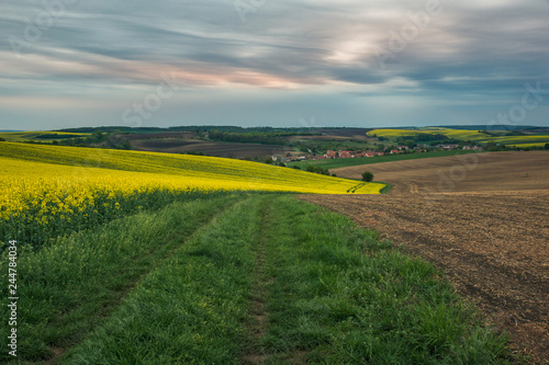 Moravian fields at spring near Sardice, Moravia, Czech Republic