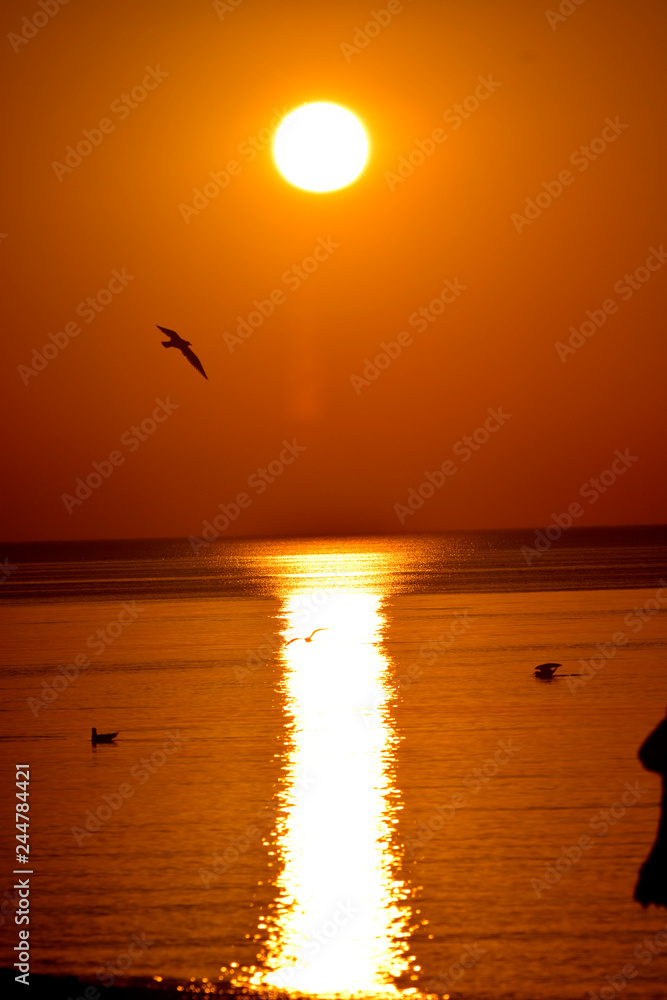 Sunset by the sea Sunset by the sea