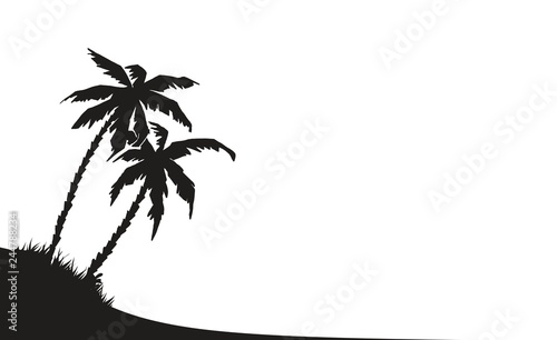 Palme2201a
