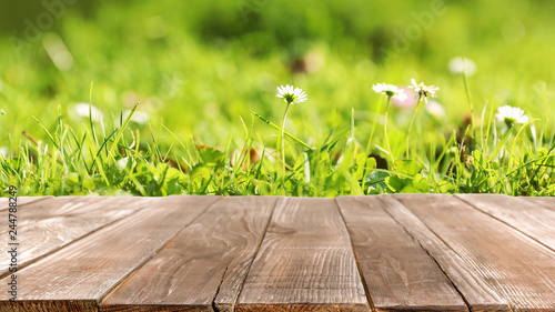 Fototapeta Naklejka Na Ścianę i Meble -  Beautiful flowers growing on green meadow in summer