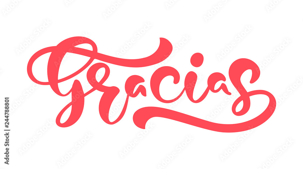 Fototapeta premium Gracias Vector text in Spanish Thank you. Lettering calligraphy vector illustration. Element for flyers, banner and posters print. Modern calligraphic