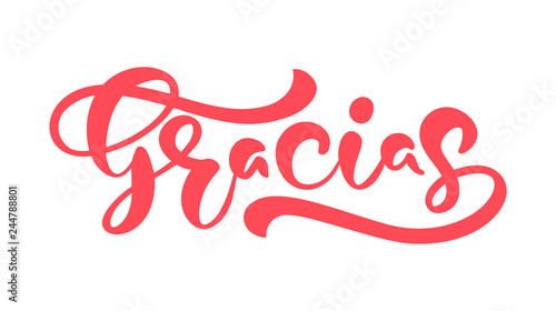 Gracias Vector text in Spanish Thank you. Lettering calligraphy vector illustration. Element for flyers, banner and posters print. Modern calligraphic