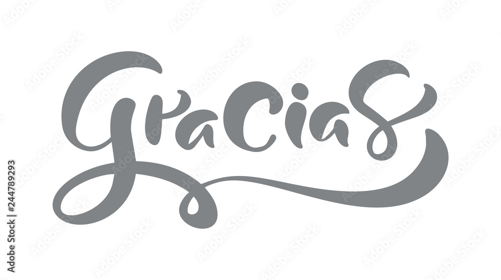 Gracias Vector text in Spanish Thank you. Lettering calligraphy vector illustration. Element for flyers, banner and posters print. Modern calligraphic Gracias Vector text in Spanish Thank you. Lettering calligraphy vector illustration. Element for flyers, banner and posters print. Modern calligraphic