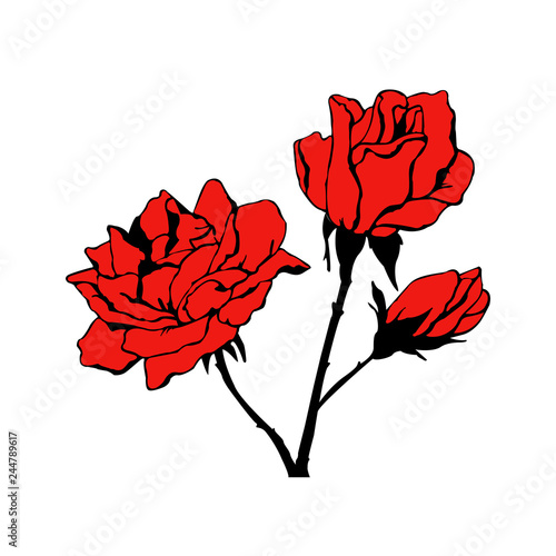 Sketch tattoo roses