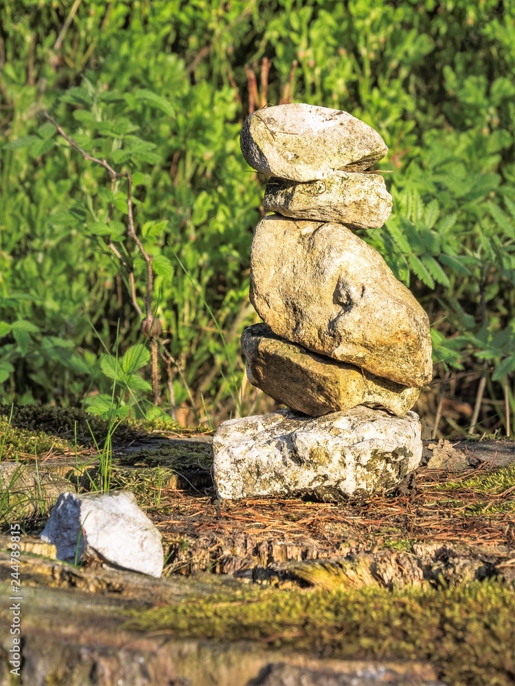 Obraz premium stone in garden