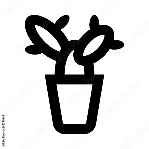 Flower plant herb cactus b