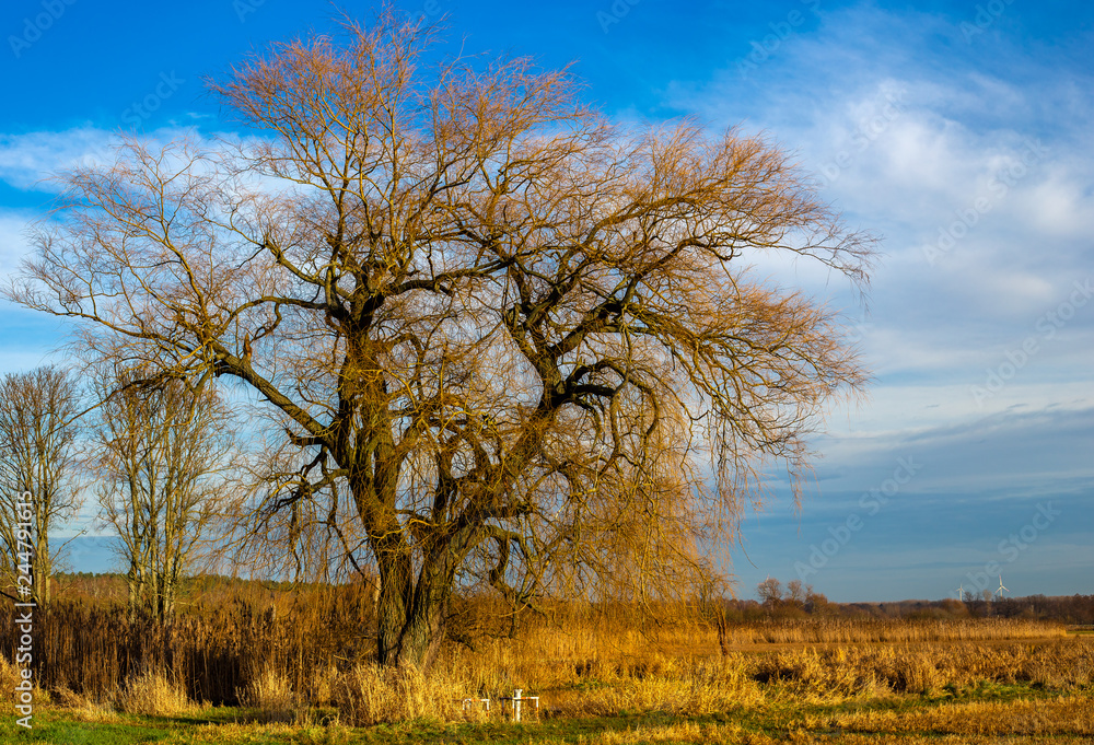 autumn landscape in the north of Berlin autumn landscape in the north of Berlin