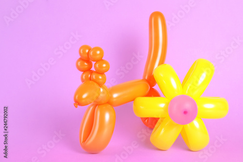 Fototapeta Naklejka Na Ścianę i Meble -  Flower and animal figures made of modelling balloons on color background. Space for text
