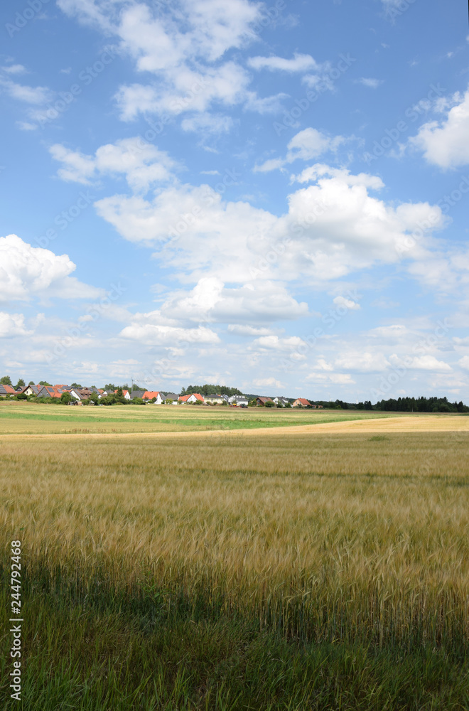Felder bei Weißenstadt