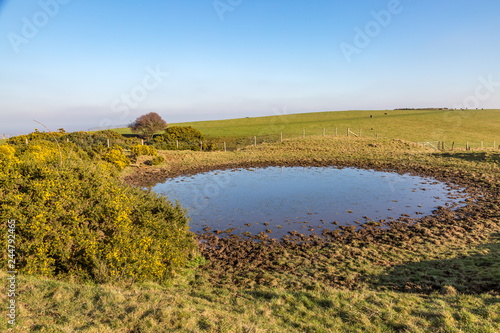 A pond on a hilltop in the South Downs, on a sunny winters day
