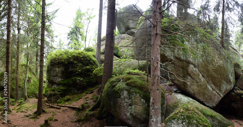 Felsen an der Wei  mainquelle