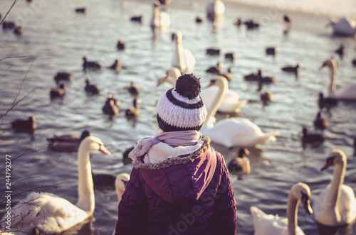 child back view and group of swans and duck on water surface