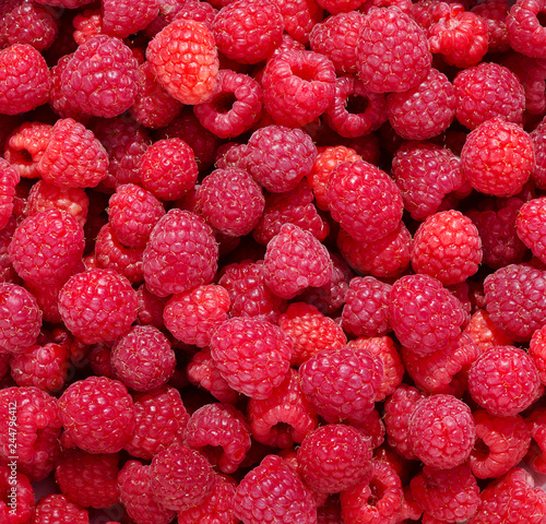 Raspberries background. Fresh ripe and sweet Raspberry.