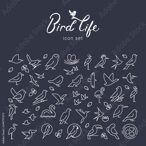 Beautiful background with birds icons. Flat birds icon set. Thin line style for icons.Vector flat simple minimalistic bird logo. Birds icon, animal sign, symbol isolated on white background.