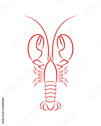 Lobster outline. Isolated lobster on white background