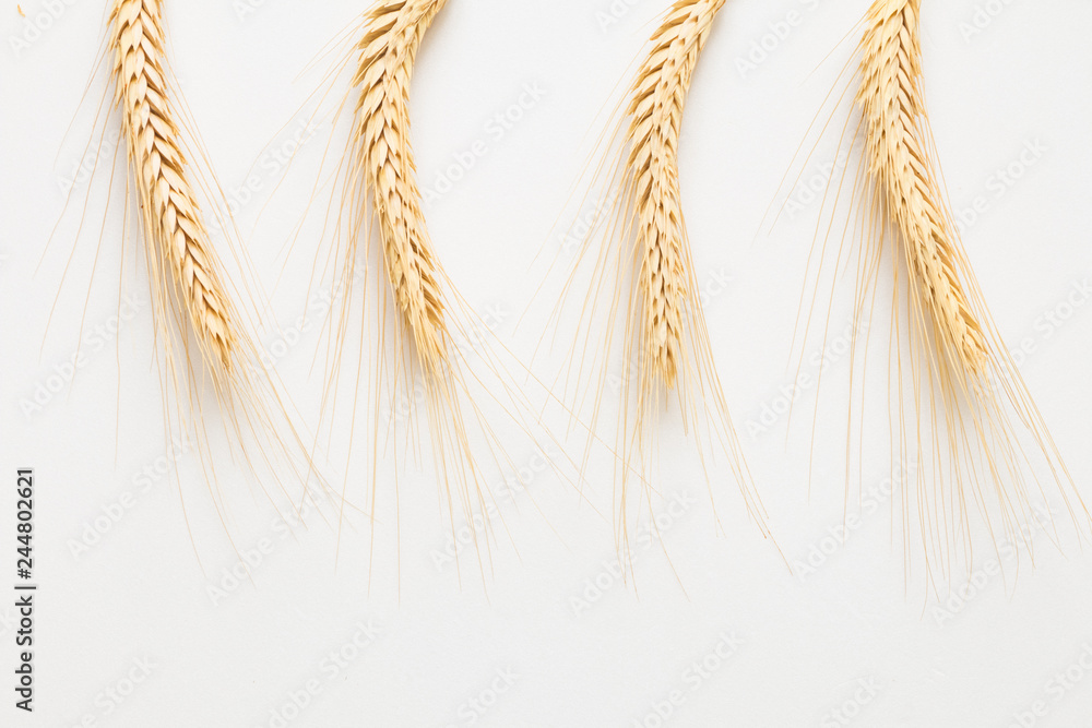 Ripe wheat on white background Ripe wheat on white background